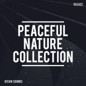 Peaceful Nature Collection