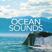 Ocean Sounds