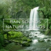Rain Sounds & Nature Sounds