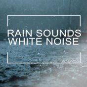 Rain Sounds & White Noise