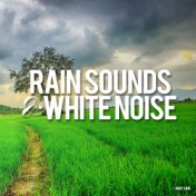 Rain Sounds & White Noise