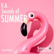 V.A.Sounds of Summer