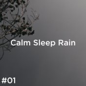 #01 Calm Sleep Rain