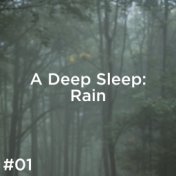 #01 A Deep Sleep: Rain