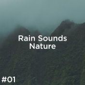 #01 Rain Sounds Nature