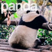 Panda, Vol. 2 (Compiled by Sensorica)