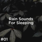 #01 Rain Sounds For Sleeping