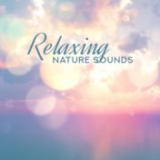 Relaxing Nature Sounds: Calm Down, Feel Better, Nature Sounds, Calm Moments