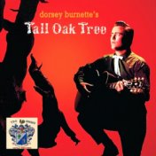 Tall Oak Tree