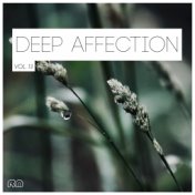 Deep Affection, Vol. 13