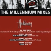 The Millennium Mixes