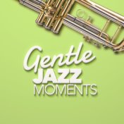 Gentle Jazz Moments