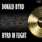 Byrd In Flight