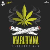 Marijuana - Single