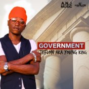 Government - Single