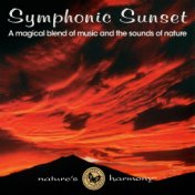 Symphonic Sunset