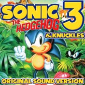 Sonic the Hedgehog 3 & Knuckles