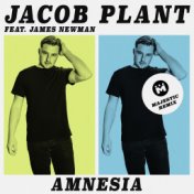 Amnesia (feat. James Newman) (Majestic Remix)