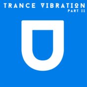 Trance Vibration. Part II.