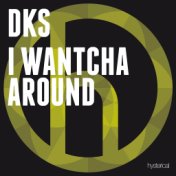 I Wantcha Around (Remixes)