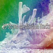 25 Storm Meditation Tracks