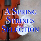 A Spring Strings Selection