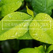 The Rain Sound Collection