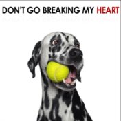 Don't Go Breaking My Heart