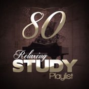 80 Relaxing Study Playlist