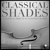 Classical Shades – a Classical Tribute to 50 Shades of Grey