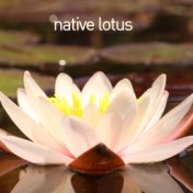 Native Lotus