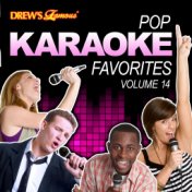 Pop Karaoke Favorites, Vol. 14