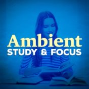 Ambient Study and Focus