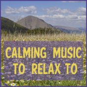 Calming Music to Relax to Featuring Zen Meditation, Deep Focus Music, & Relaxing Piano Music Consort