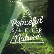 Peaceful Sleep: Nature