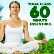 Yoga Class 60 Minute Essentials: Relaxing, Peaceful Sounds for Yoga, Meditation & Relaxation