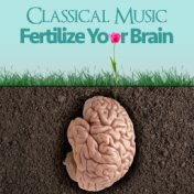 Classical Music - Fertilize for Your Brain
