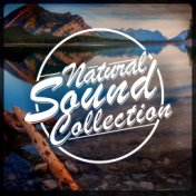 Natural Sound Collection
