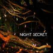 Night Secret