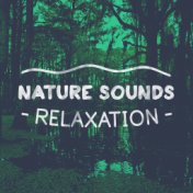 Nature Sounds: Relaxation
