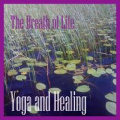 Yoga and Healing