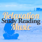 Relaxation Study Reading Music