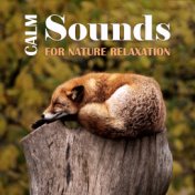 Calm Sounds for Nature Relaxation