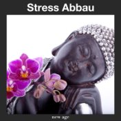 Stress Abbau: Stressbewältigung, Buddhistische Meditationsmusik