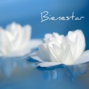 Bienestar - Music para Relajarse Instrumental para Dormir