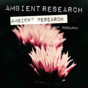 Ambient Research