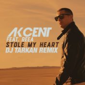 Stole My Heart (DJ Tarkan Remix)