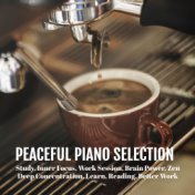 Peaceful Piano Selection: Study, Inner Focus, Work Session, Brain Power, Zen, Deep Concentration, Learn, Reading, Better Work