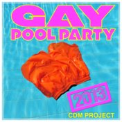 Gay Pool Party 2013