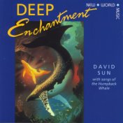 Deep Enchantment